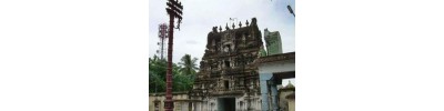 219. திருத்தினைநகர்